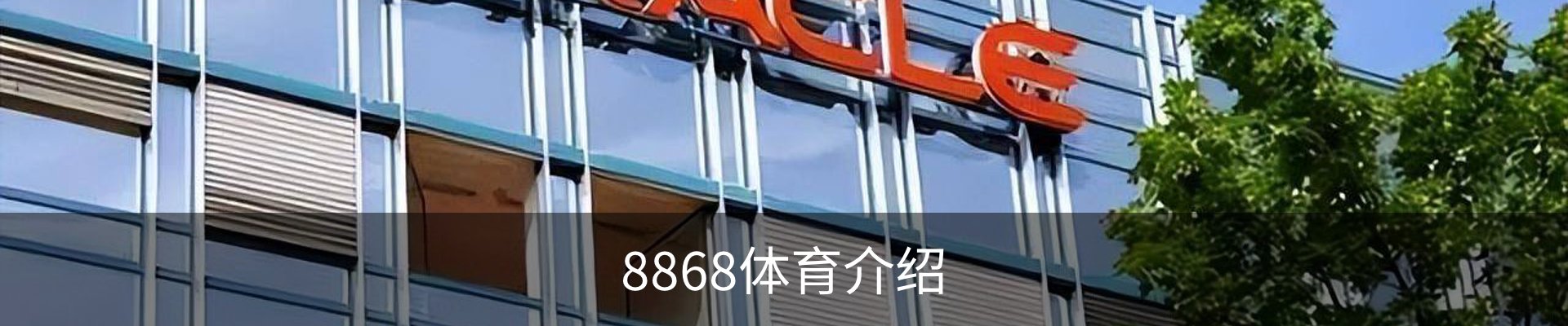 8868体育介绍